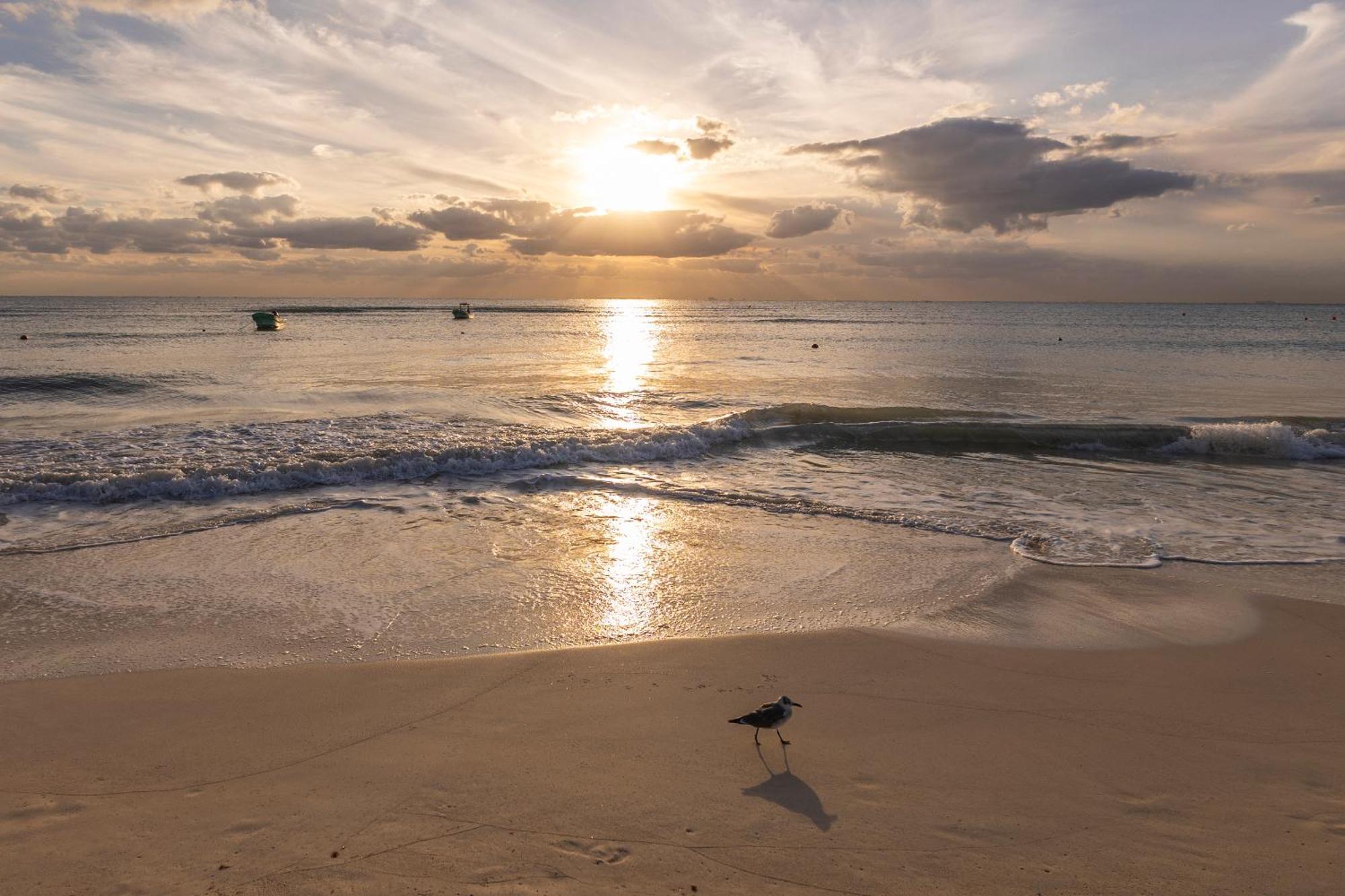 Areia Playa Del Carmen - Beach Front Hotel Extérieur photo